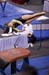 09NCAAS13K_10397_Shire